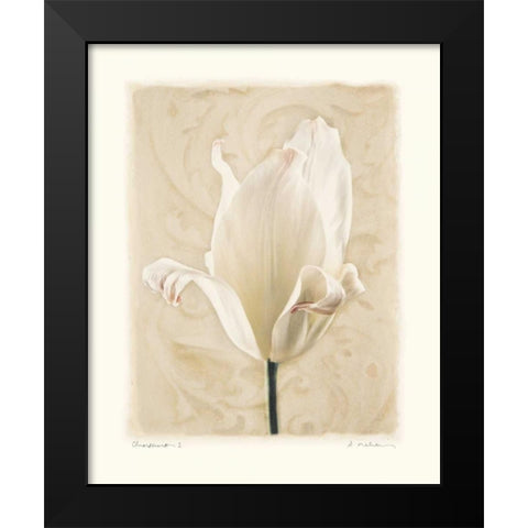 Chiaroscuro I Black Modern Wood Framed Art Print by Melious, Amy