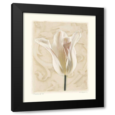 Chiaroscuro II Black Modern Wood Framed Art Print with Double Matting by Melious, Amy