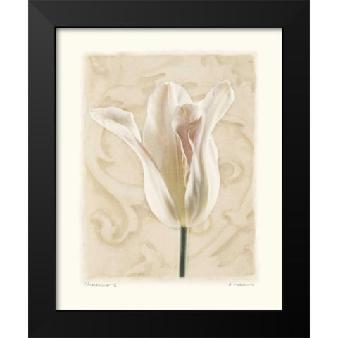 Chiaroscuro II Black Modern Wood Framed Art Print by Melious, Amy
