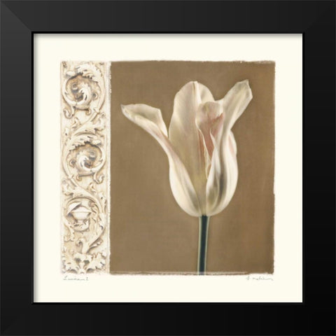 Lumiere I Black Modern Wood Framed Art Print by Melious, Amy