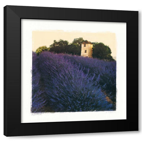 Bayliss Ranch Black Modern Wood Framed Art Print by Melious, Amy