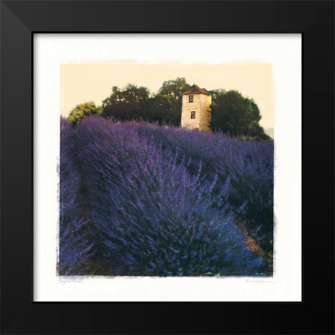 Bayliss Ranch Black Modern Wood Framed Art Print by Melious, Amy