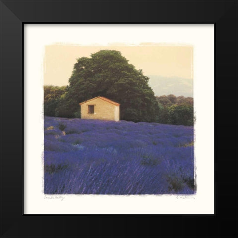 Lavender Country Black Modern Wood Framed Art Print by Melious, Amy