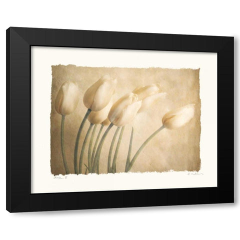 Aria II Black Modern Wood Framed Art Print with Double Matting by Melious, Amy