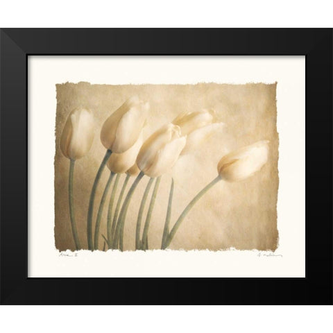 Aria II Black Modern Wood Framed Art Print by Melious, Amy