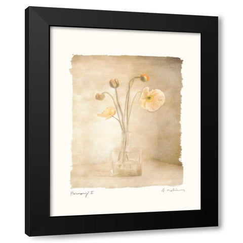 Harmony II Black Modern Wood Framed Art Print with Double Matting by Melious, Amy