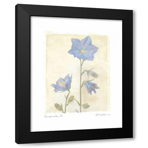Campanula II Black Modern Wood Framed Art Print by Melious, Amy