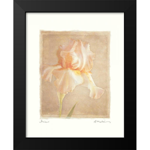 Iris Black Modern Wood Framed Art Print by Melious, Amy