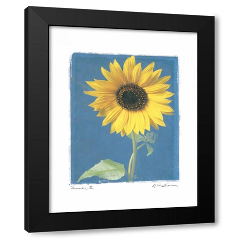 Summer II Black Modern Wood Framed Art Print with Double Matting by Melious, Amy