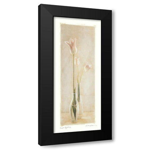Quiet Light II Black Modern Wood Framed Art Print with Double Matting by Melious, Amy