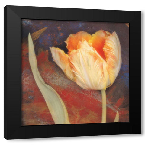 Dusk Tulip II Black Modern Wood Framed Art Print with Double Matting by Melious, Amy