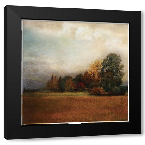 Autumn Horizon II Black Modern Wood Framed Art Print with Double Matting by Melious, Amy