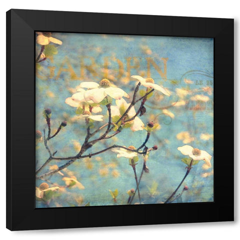 Dogwood II Black Modern Wood Framed Art Print with Double Matting by Melious, Amy