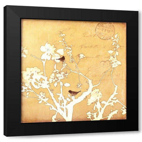 Song Birds VI Black Modern Wood Framed Art Print with Double Matting by Melious, Amy