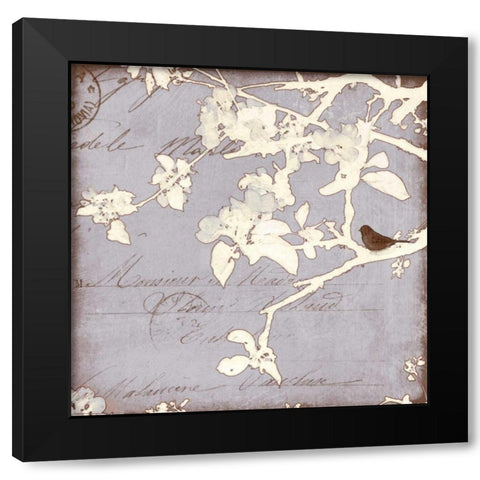 Song Birds VIII Black Modern Wood Framed Art Print with Double Matting by Melious, Amy