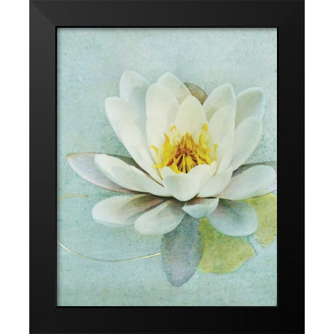 Pond Lily Black Modern Wood Framed Art Print by Melious, Amy
