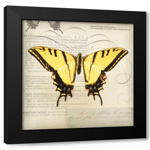 Butterflies Script V Black Modern Wood Framed Art Print with Double Matting by Melious, Amy