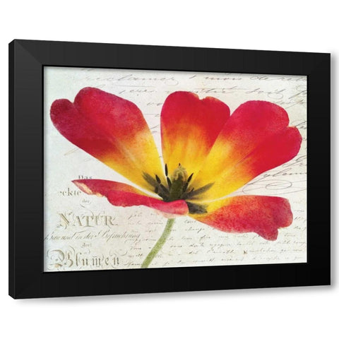 Bloom I Black Modern Wood Framed Art Print with Double Matting by Melious, Amy