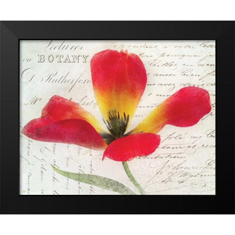 Bloom II Black Modern Wood Framed Art Print by Melious, Amy