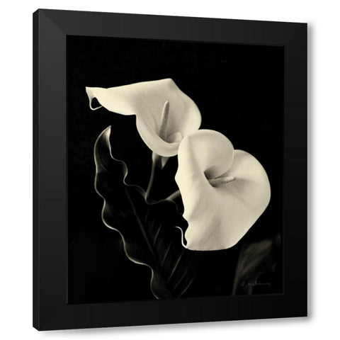 Botanical Elegance Calla IV Black Modern Wood Framed Art Print with Double Matting by Melious, Amy