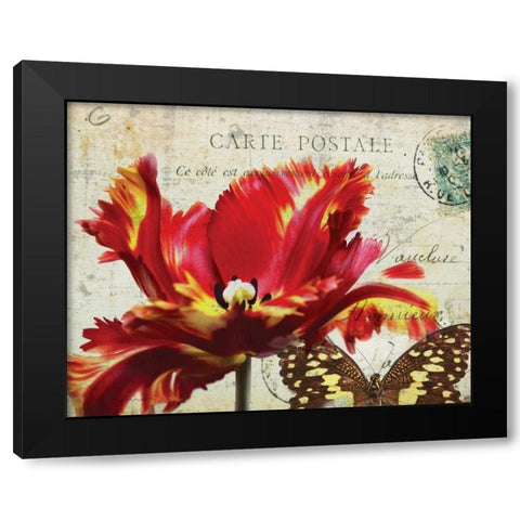 Carte Postale Tulip I Black Modern Wood Framed Art Print with Double Matting by Melious, Amy