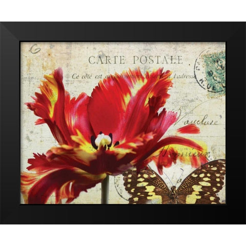 Carte Postale Tulip I Black Modern Wood Framed Art Print by Melious, Amy