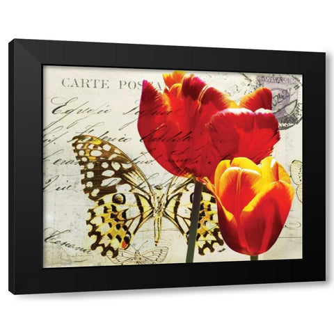 Carte Postale Tulip II Black Modern Wood Framed Art Print with Double Matting by Melious, Amy