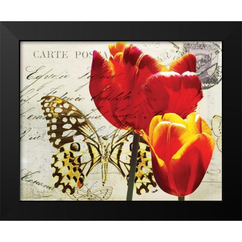 Carte Postale Tulip II Black Modern Wood Framed Art Print by Melious, Amy