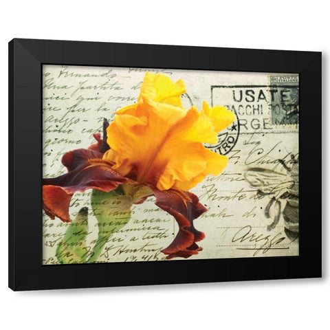 Carte Postale Iris Black Modern Wood Framed Art Print with Double Matting by Melious, Amy