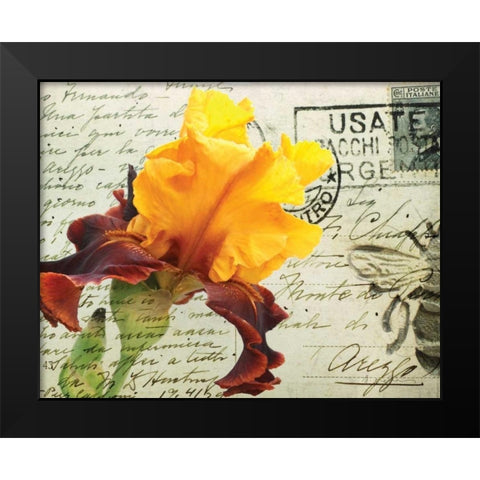 Carte Postale Iris Black Modern Wood Framed Art Print by Melious, Amy
