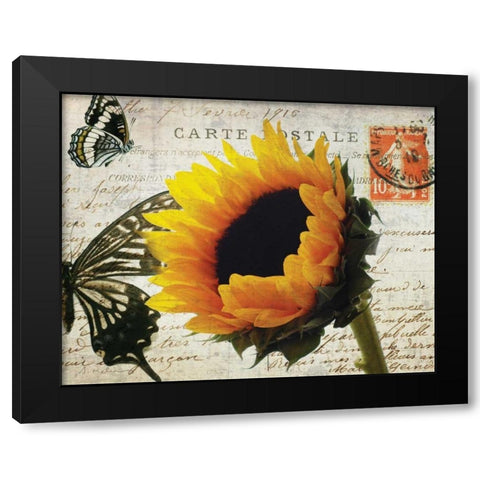 Carte Postale Sunflower Black Modern Wood Framed Art Print with Double Matting by Melious, Amy