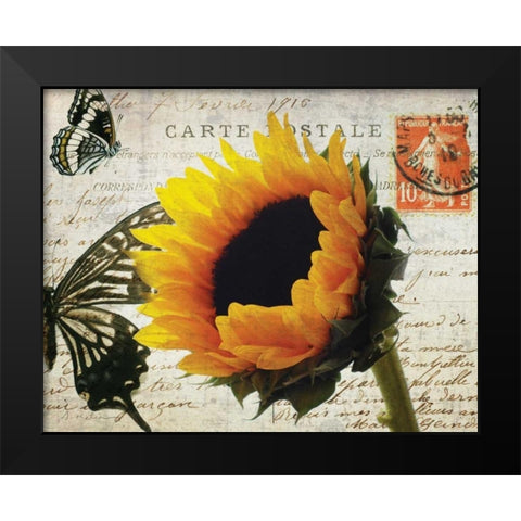 Carte Postale Sunflower Black Modern Wood Framed Art Print by Melious, Amy