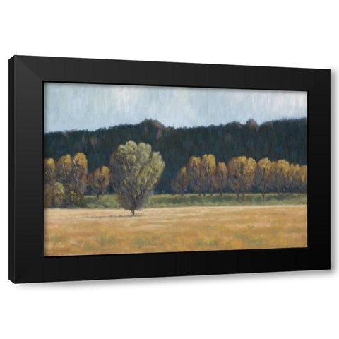 Cottonwood Country I Black Modern Wood Framed Art Print with Double Matting by Macnab, John