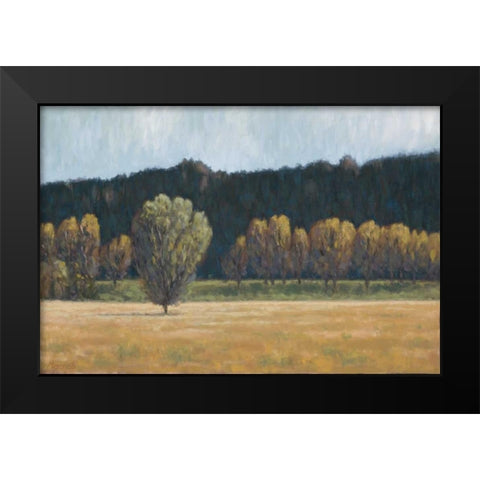 Cottonwood Country I Black Modern Wood Framed Art Print by Macnab, John