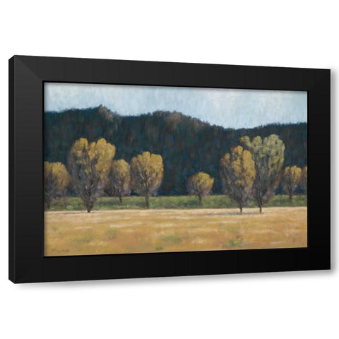 Cottonwood Country II Black Modern Wood Framed Art Print with Double Matting by Macnab, John