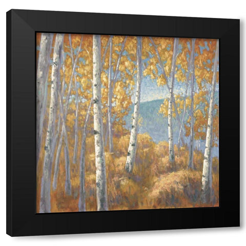 Fall Aspen I Black Modern Wood Framed Art Print with Double Matting by Macnab, John