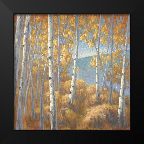 Fall Aspen I Black Modern Wood Framed Art Print by Macnab, John