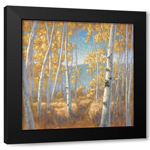 Fall Aspen I Black Modern Wood Framed Art Print by Macnab, John