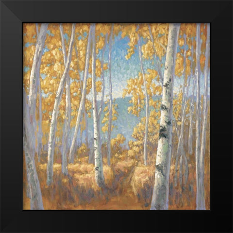 Fall Aspen I Black Modern Wood Framed Art Print by Macnab, John