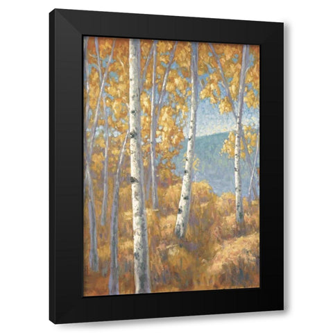 Aspen Forest I Black Modern Wood Framed Art Print with Double Matting by Macnab, John