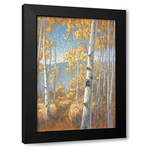 Aspen Forest II Black Modern Wood Framed Art Print with Double Matting by Macnab, John