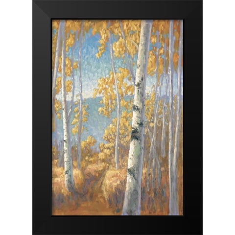 Aspen Forest II Black Modern Wood Framed Art Print by Macnab, John