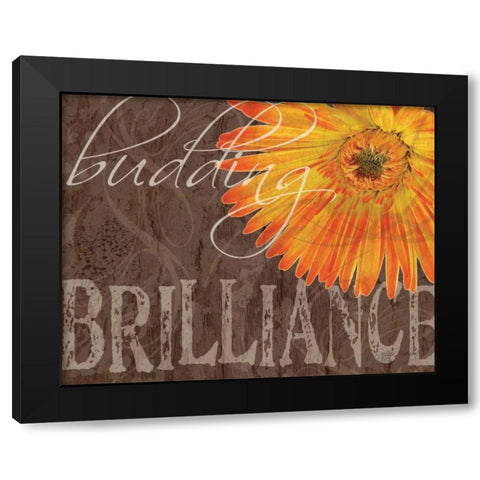 Gerbera II Black Modern Wood Framed Art Print with Double Matting by Murray, Sylvia