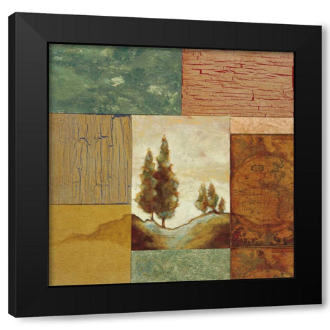 Old World Traditions IV Black Modern Wood Framed Art Print by Osborne, Susan