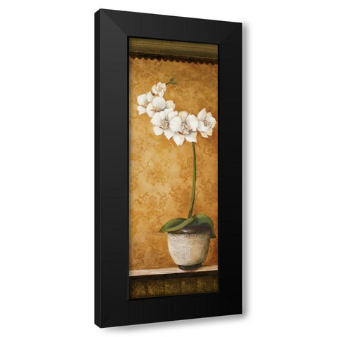 Hannas Orchids II Black Modern Wood Framed Art Print with Double Matting by Osborne, Susan