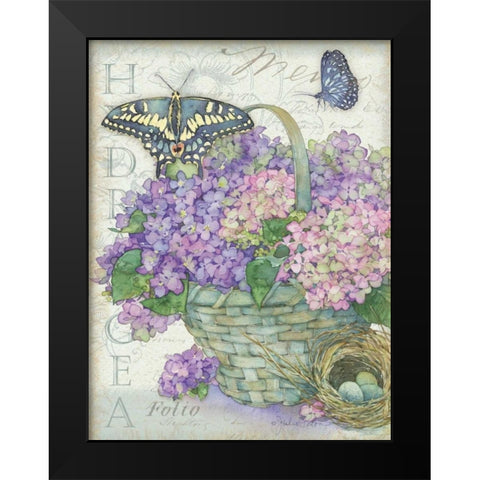 Hydrangea Folio Black Modern Wood Framed Art Print by Paton, Julie