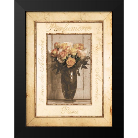 Nostalgia I Black Modern Wood Framed Art Print by Pela Design