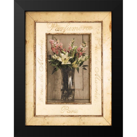 Nostalgia II Black Modern Wood Framed Art Print by Pela Design