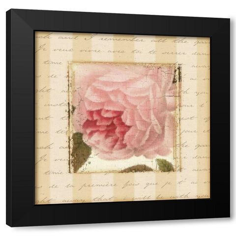 Rose and Romance II Black Modern Wood Framed Art Print with Double Matting by Pela Design