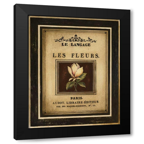 Flower Garden II Black Modern Wood Framed Art Print with Double Matting by Poloson, Kimberly